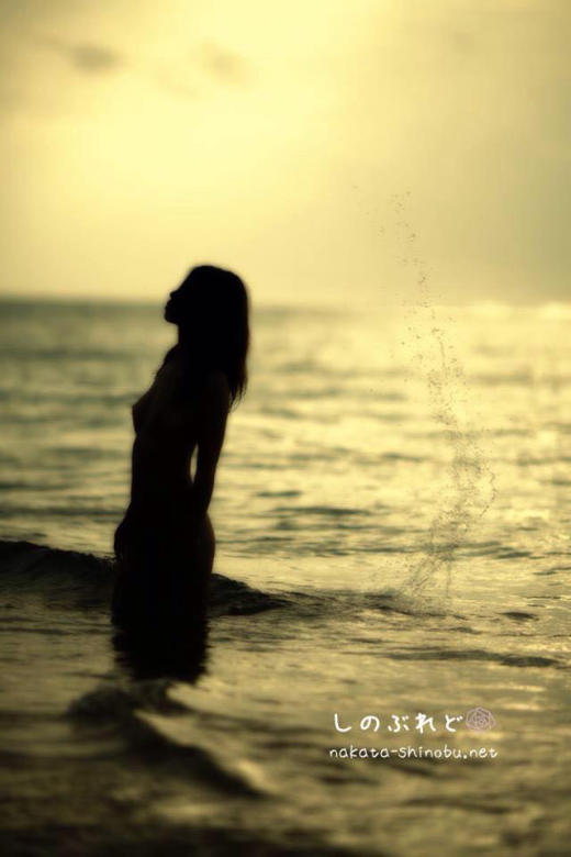 ハダカノチカラプロジェクト